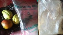 Protection de l’environnement: des sacs non biodégradables écoulés sur le marché