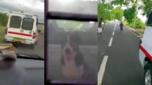 Un habitant de Souillac allègue qu’un policier a volé son chien
