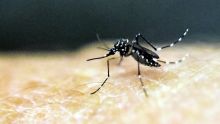 Le virus Zika signalé dans plusieurs pays d'Europe