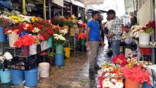 Nouveau marché de Rose-Hill : deux sites dans le collimateur