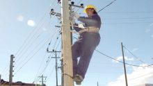 Maintenance: le CEB décaisse Rs 10 M pour l’isolation des câbles haute tension