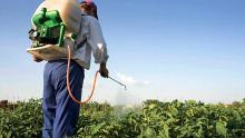 LA GSEA part en guerre contre l’utilisation abusive des pesticides