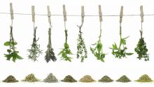 Bien-être: Les herbes aromatiques et leurs bienfaits