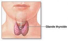 Thyroïde: siège de nombreux maux