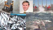 Illegal fishing: Our tuna industry under threat