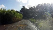 Tamarind Falls – une voiture chute dans un ravin 