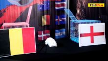 Finale du Mondial 2018 : découvrez les pronostics de Zougadou, le lapin mauricien
