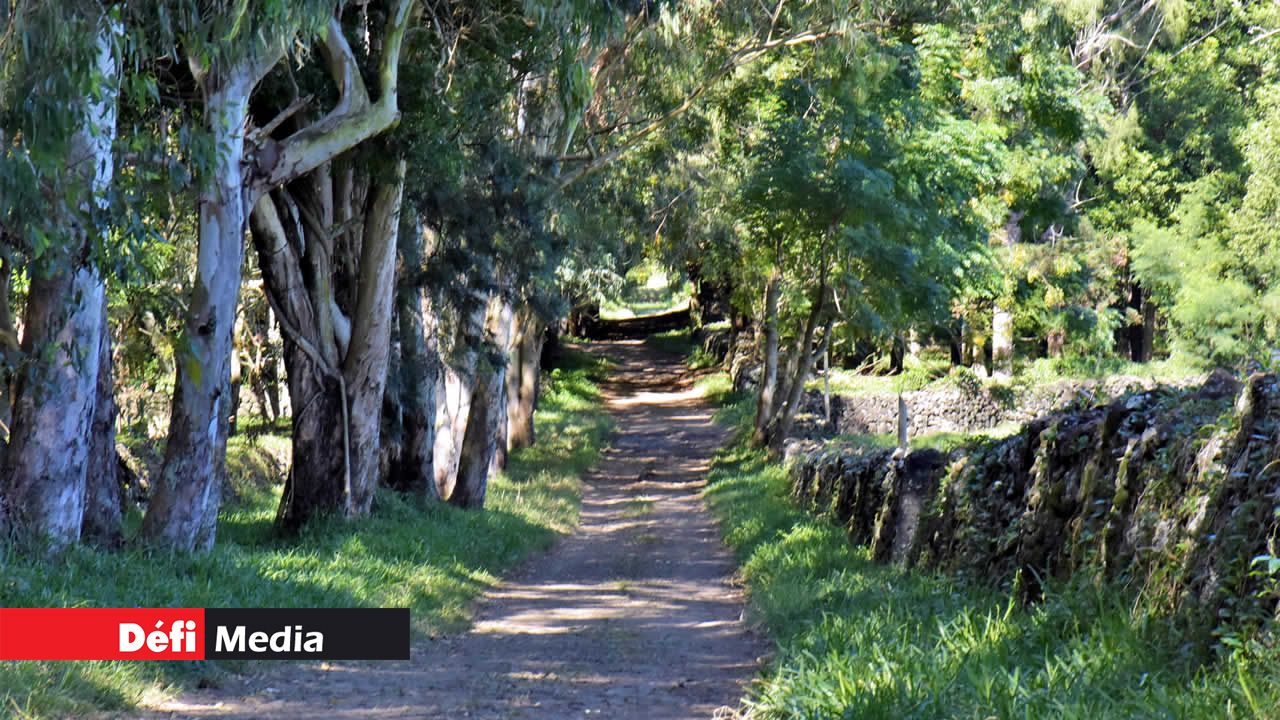 Une entrée verdoyante. Le Souffleur