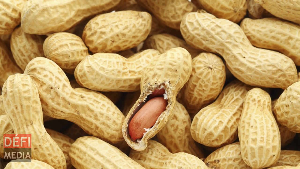 Les cacahuètes contre l'infarctus