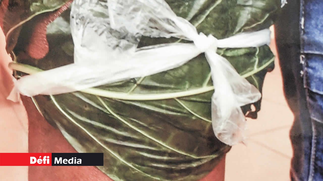 La « fey torti » est utilisée comme compresse pour soulager des douleurs.