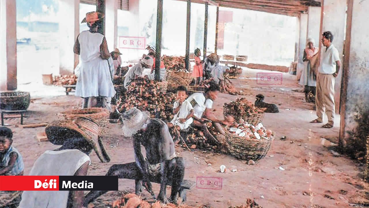 L’usine de coco à Diego Garcia dans les années 1963.