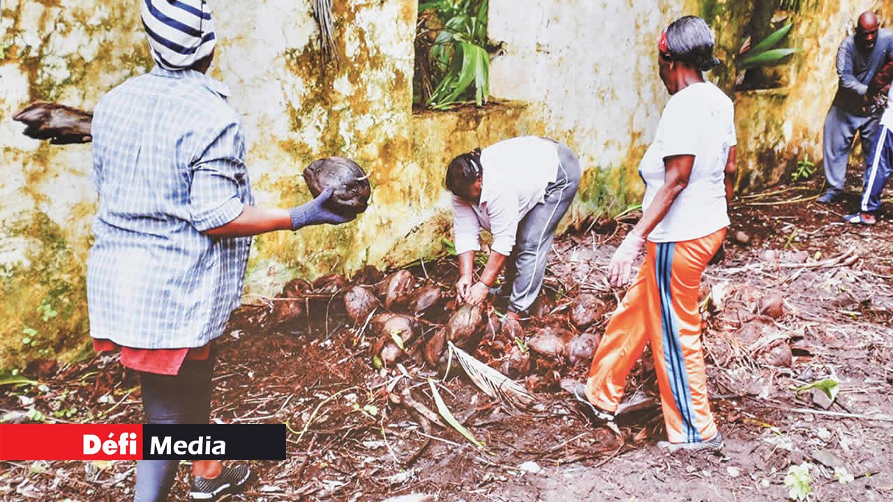 Opération nettoyage de ce qu’il reste de l’église de Peros Banhos.