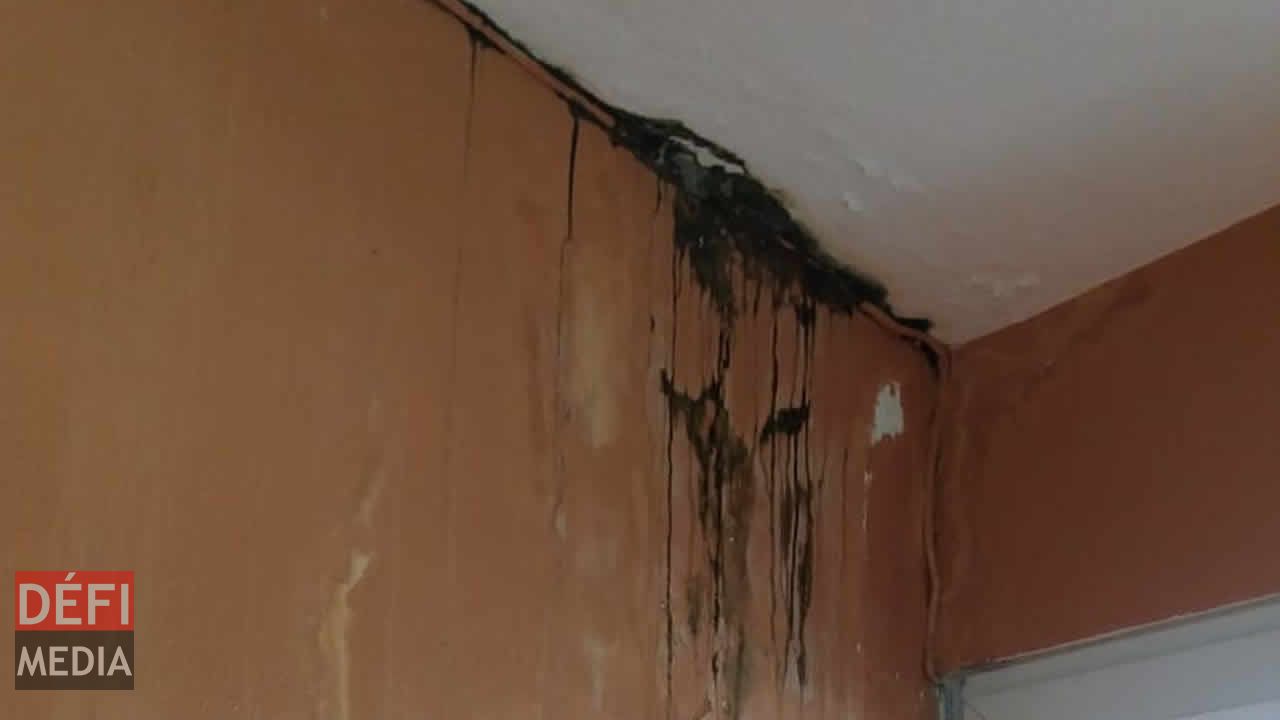 Des moisissures au mur. Sapeurs-pompiers