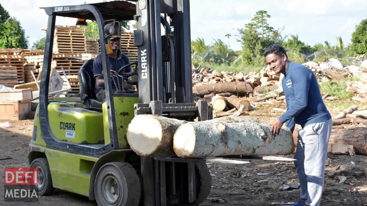 Vérification et acheminement du bois vers l’usine. Entreprise familiale