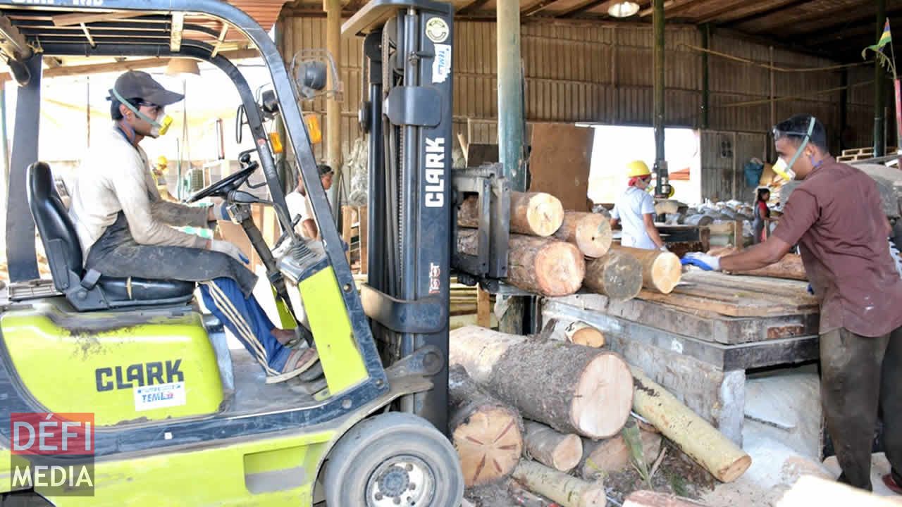 Le bois est transféré vers la scierie. Entreprise familiale