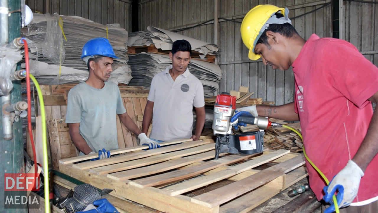 Les palettes sont utilisées pour différents usages. Entreprise familiale