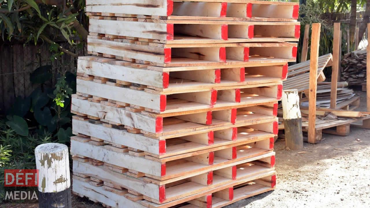 Différents modèles de palettes sont fabriqués et livrés dans plusieurs régions. Entreprise familiale