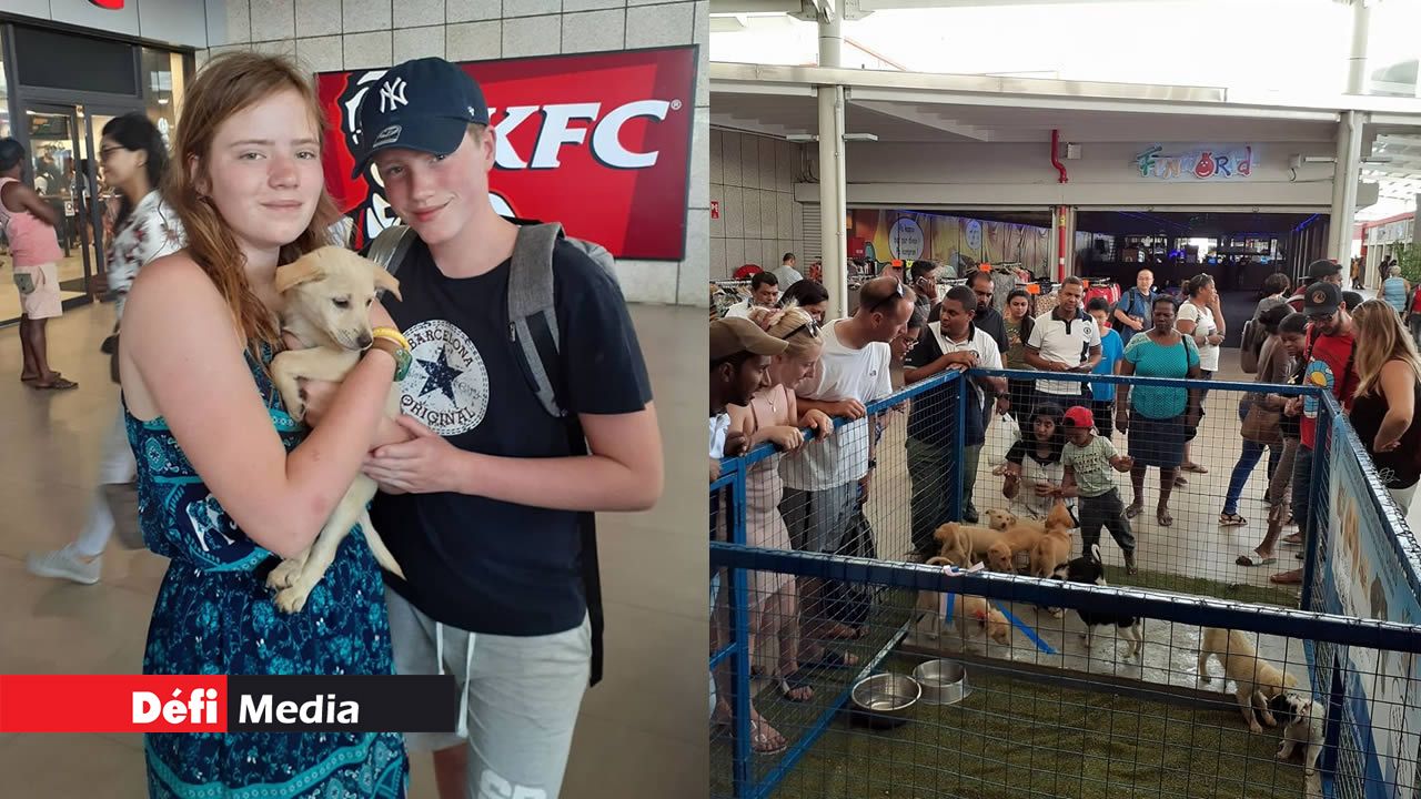 Journée mondiale des animaux