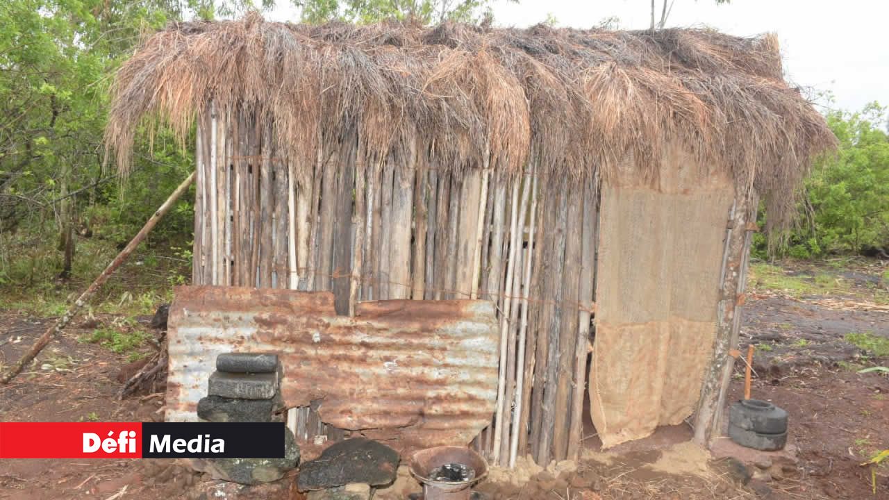 Deux huttes ont été érigées sur le lopin de terre. De la bouse de vache et de la paille ont été utilisées comme matériaux. Cinéma