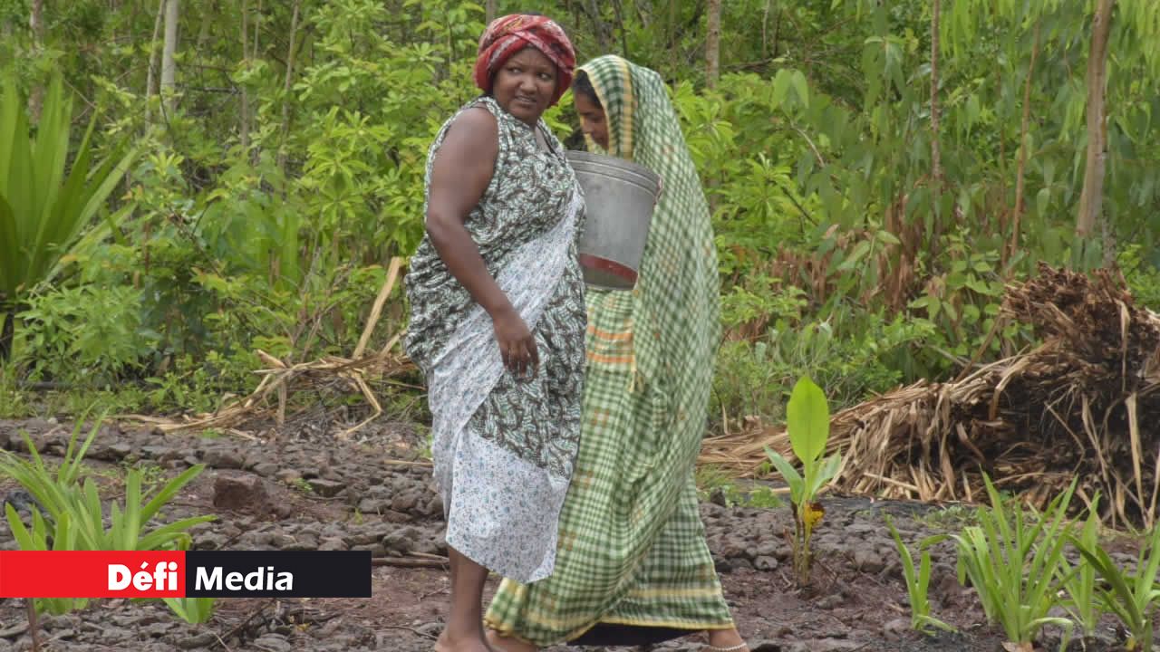 Il fallait marcher de longues distances pour récupérer l’eau. Cinéma