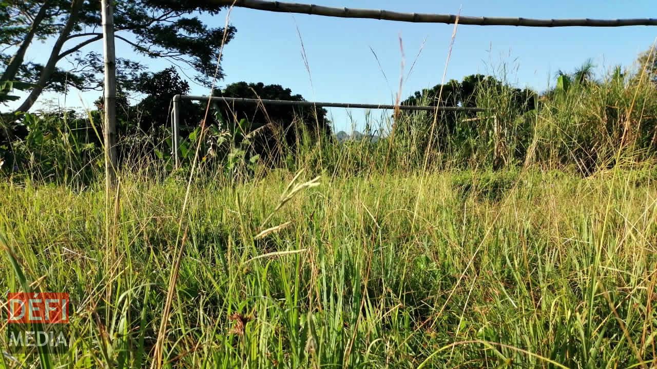 terrain de foot