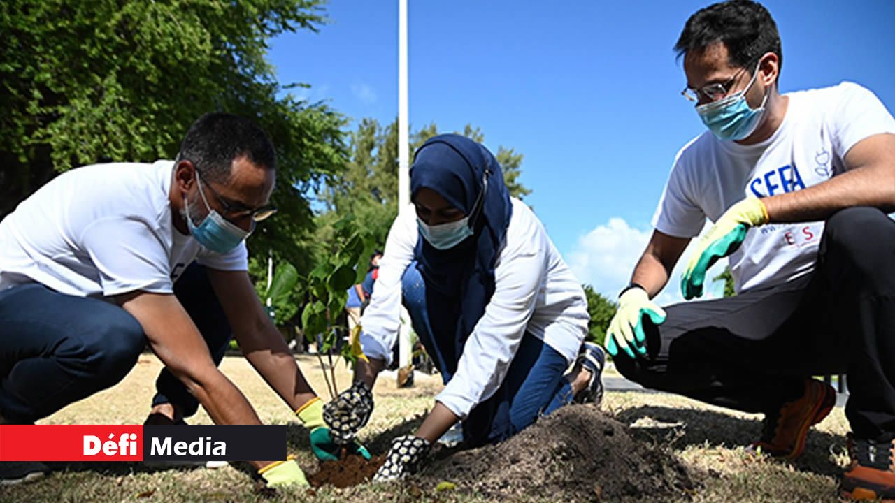 L’équipe du Sustainable Energy Fund for Africa (SEFA) n’a pas été découragée par le soleil de plomb.