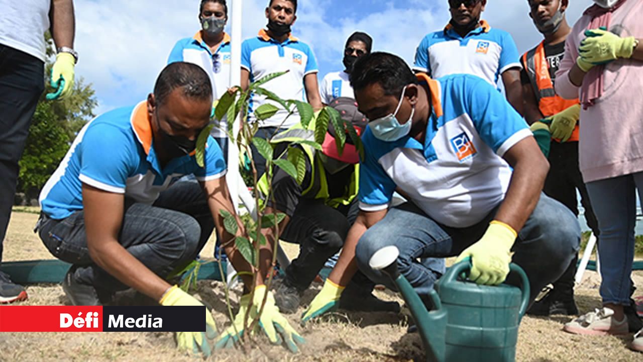 Mise en terre des plantes adaptées à l’environnement côtier par la Beach Authority.
