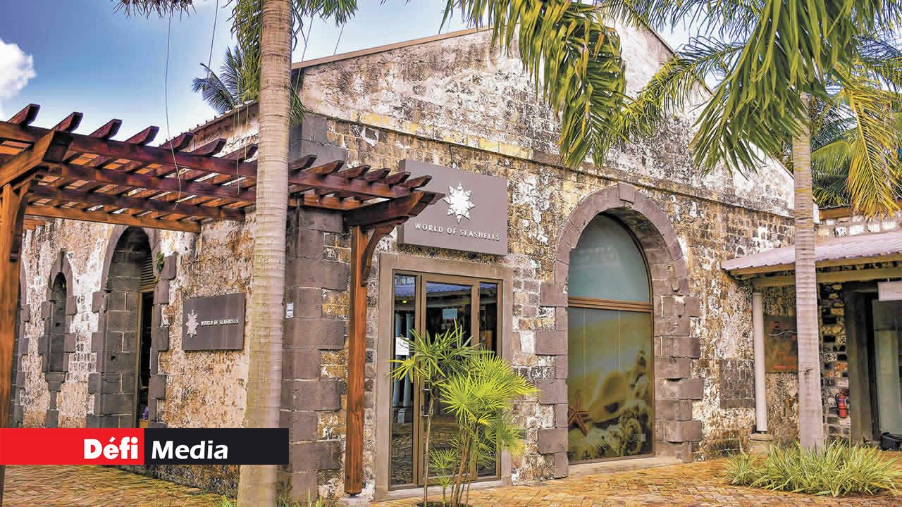 Le bâtiment vieux de plus de 200 ans abrite le musée The World of Seashells.