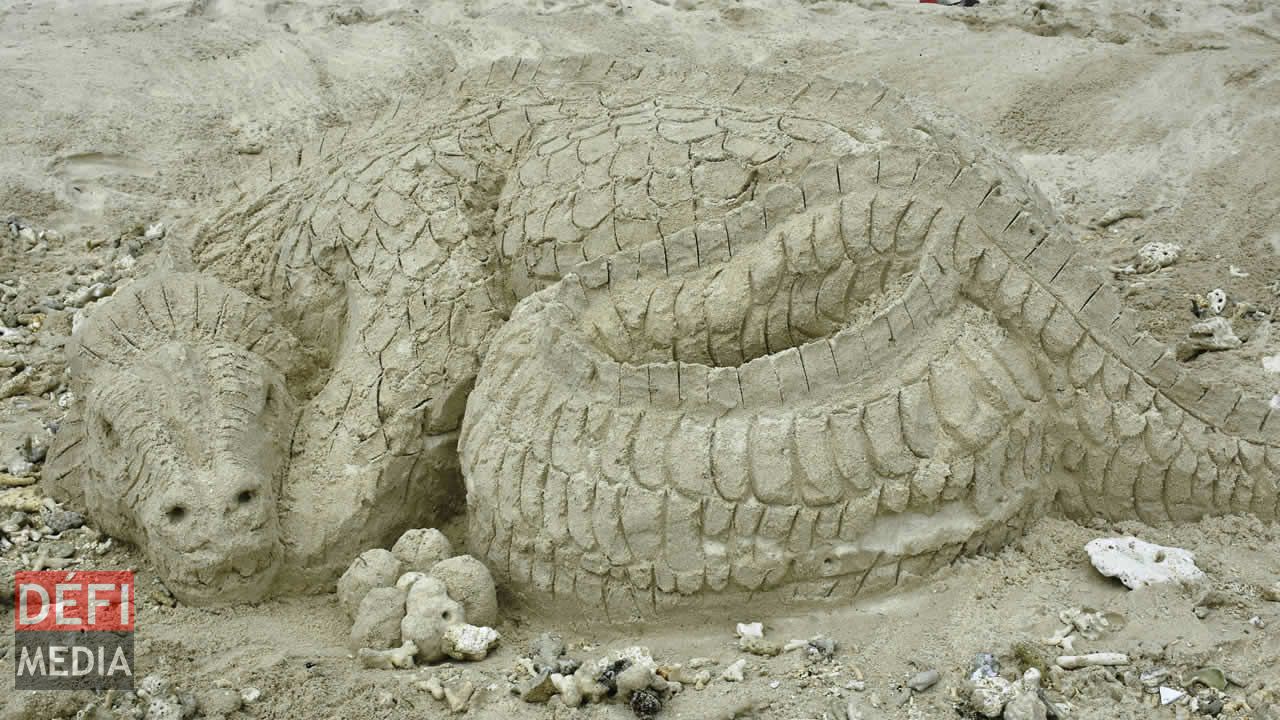 Un crocodile qui dort. Un crocodile qui dort.