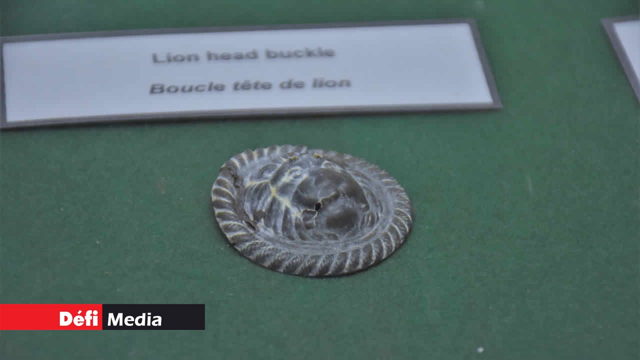 Boucle à tête de lion. La Tour Martello