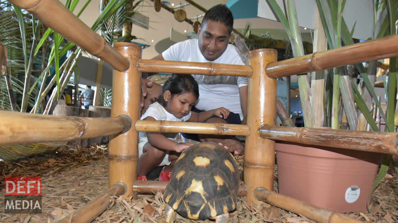 Salon de la Famille et de la Santé