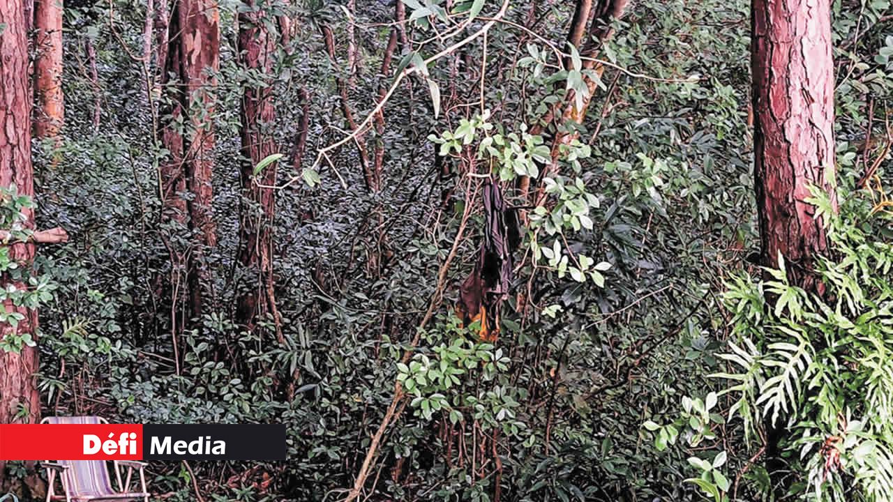 Sa tente de fortune donne vue sur une étendue d’eau.