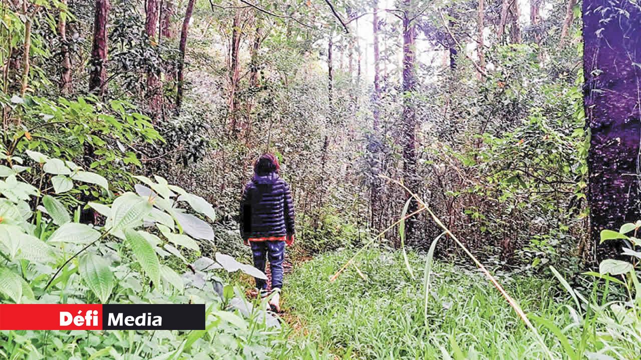 Nous l’avons rencontré lors de notre randonnée en forêt.