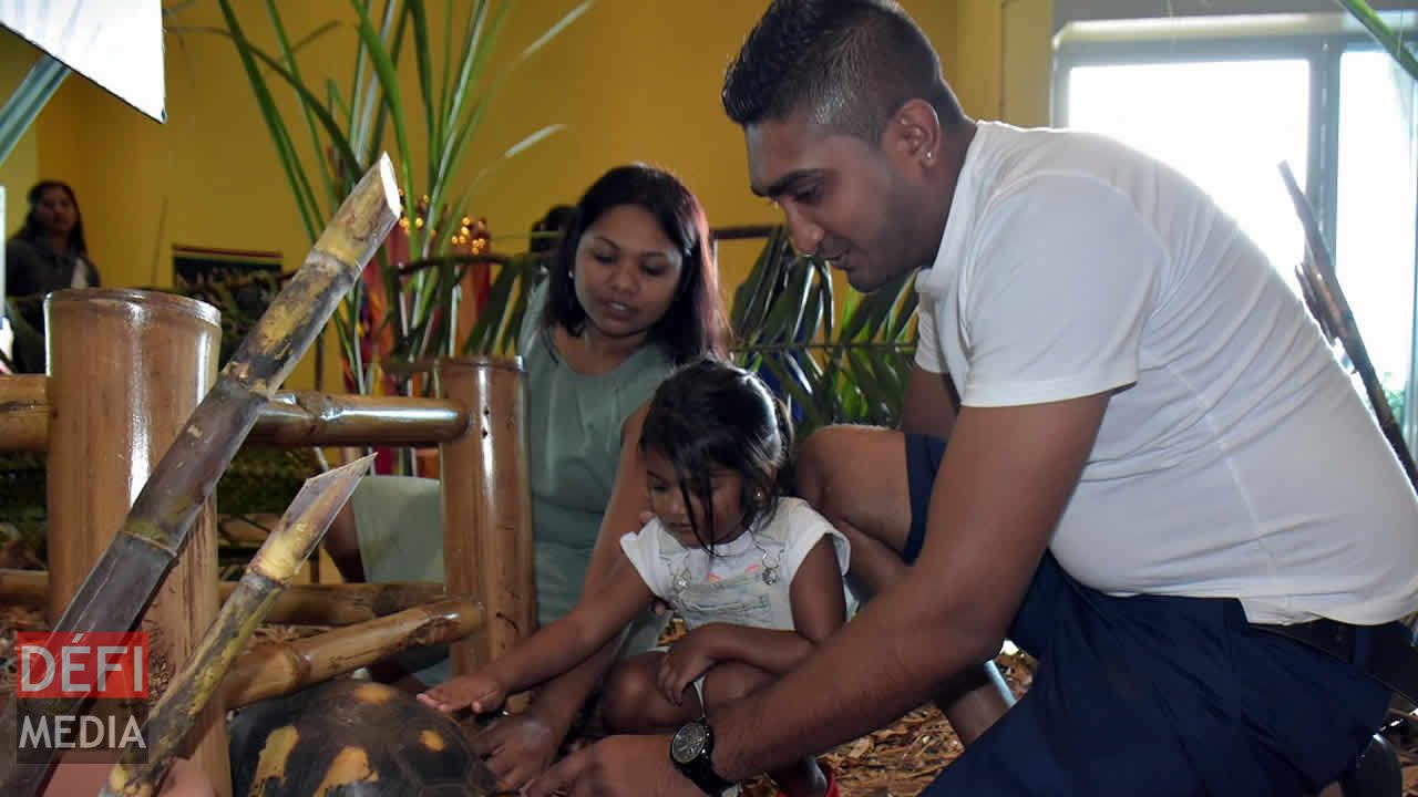 Rencontre avec une tortue sur le Chemin de la Nature. 7e édition du Salon de la Famille et de la Santé