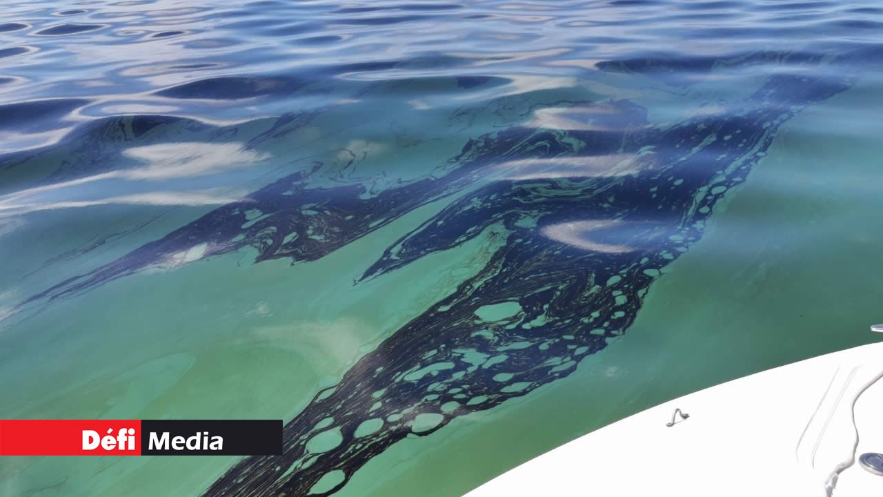 Le noir et le turquoise offrent un spectacle désolant Marée noire