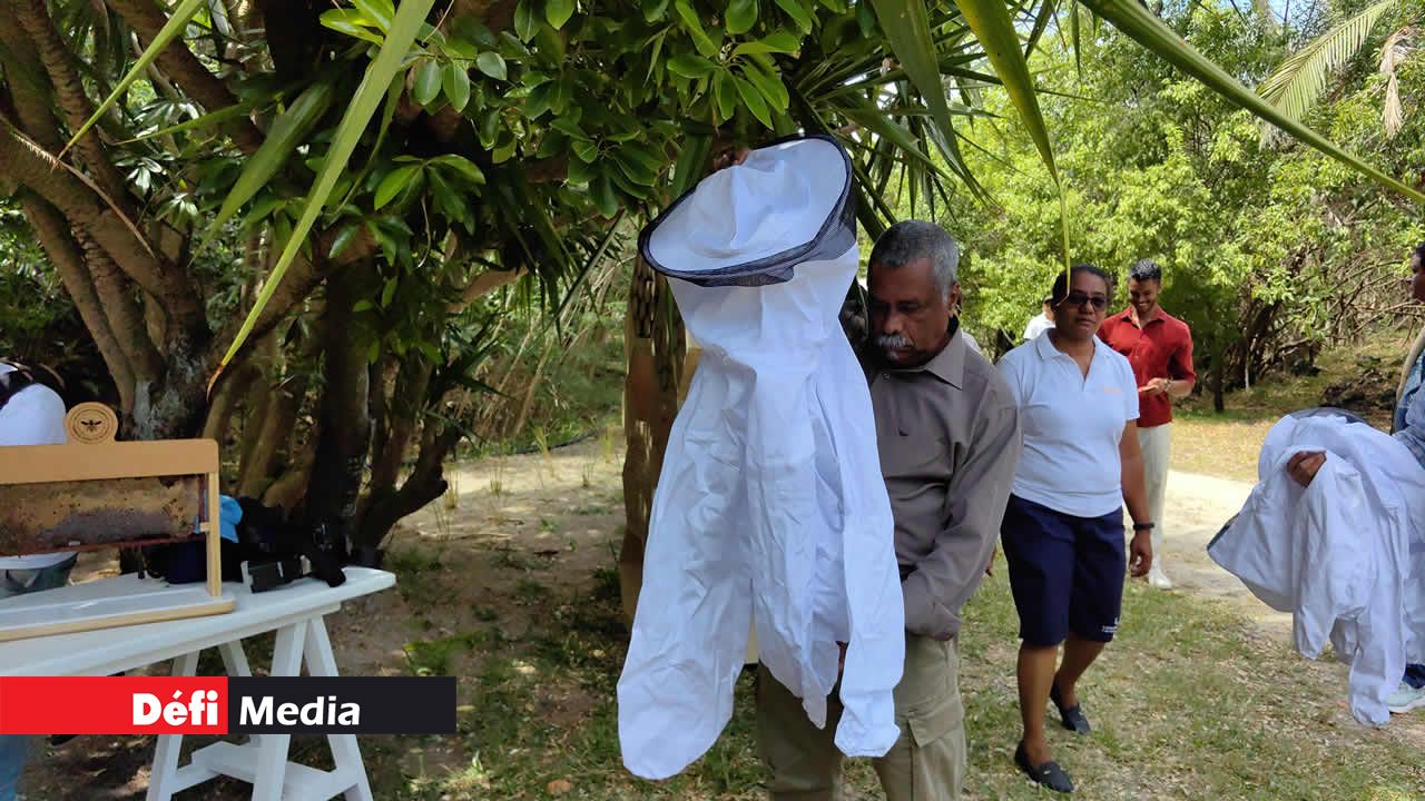 Les membres de la presse présents enfilent la combinaison conçue spécialement pour l’élevage des abeilles.