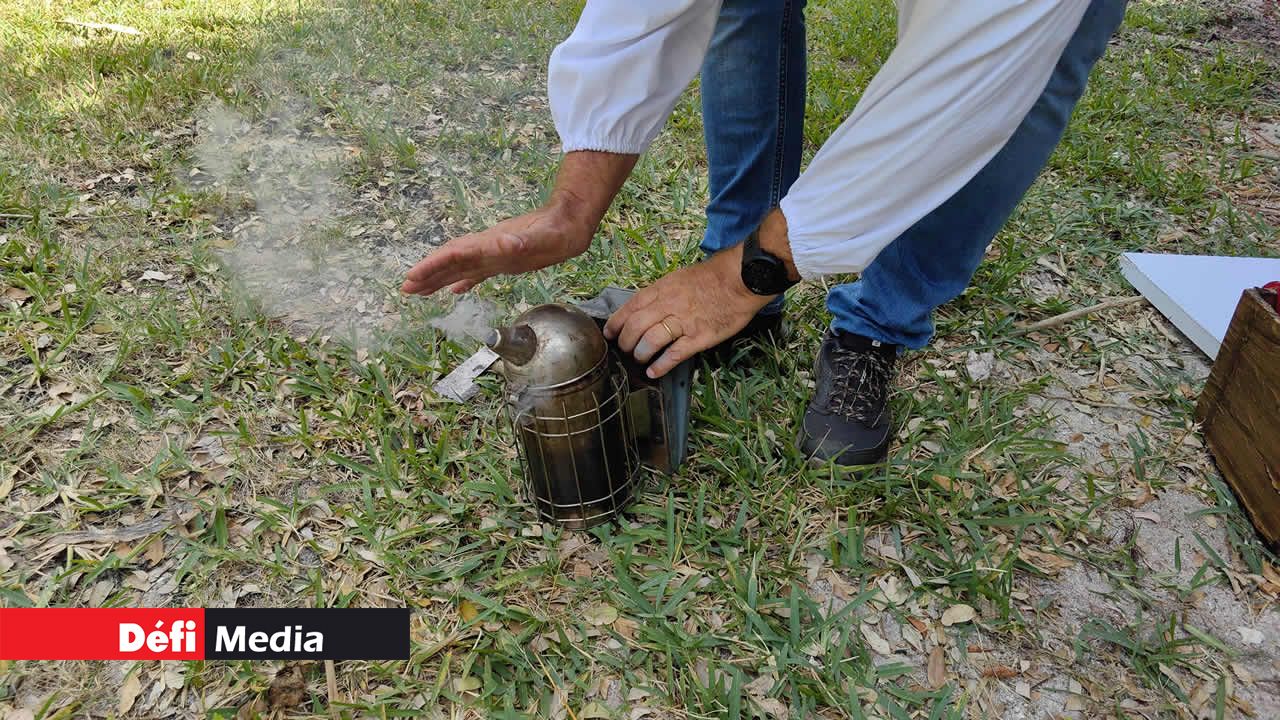 La préparation de l’enfumoir, qui calme les abeilles en créant une sorte d’illusion de fumée.