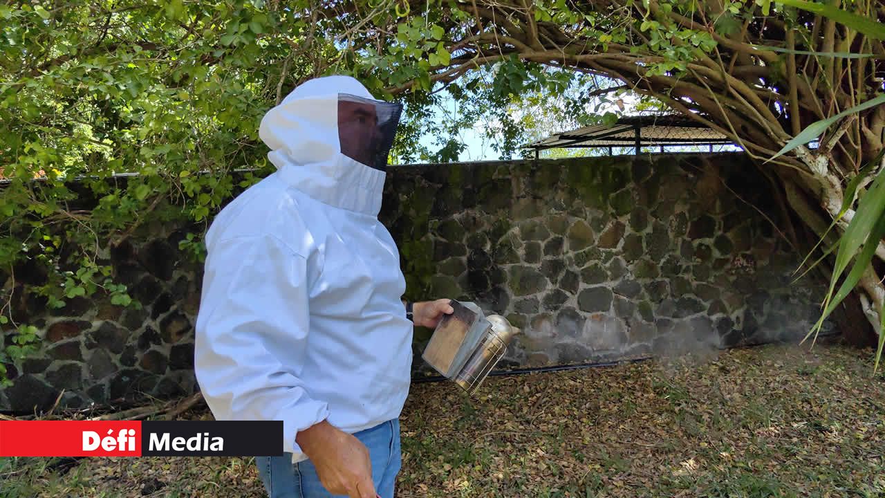 Étienne de Senneville, vêtu de la combinaison de protection pour apiculteur, enfumoir en main, se dirige vers les ruches.