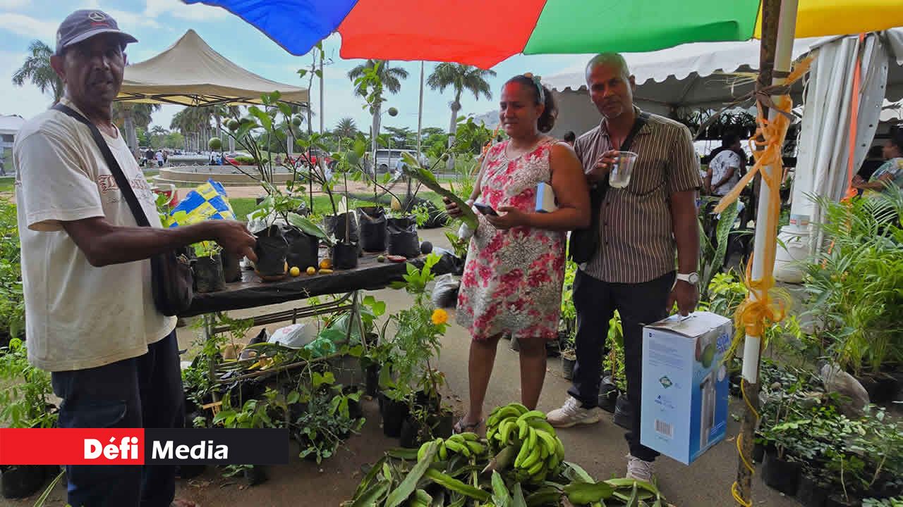 Le couple Kalloo, de Roches-Noires, a acheté des plantes au stand de Chaddy.