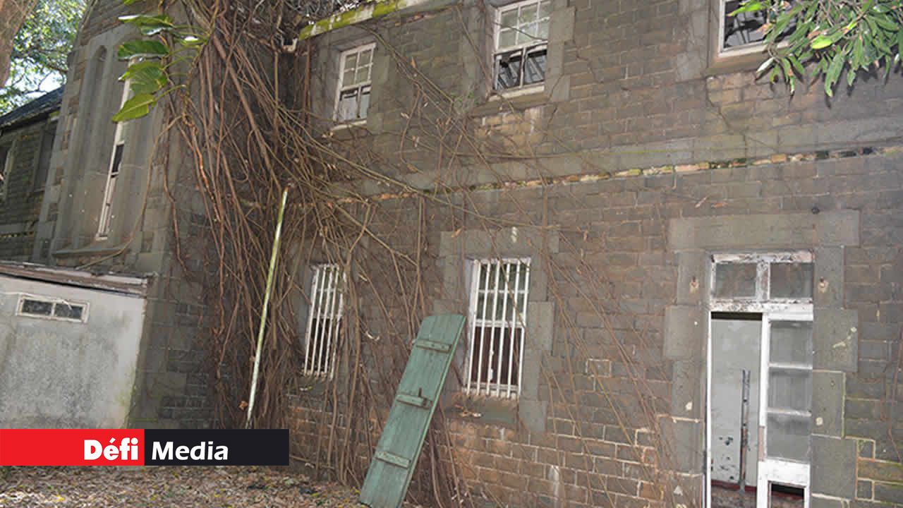 Porte et fenêtre en piètre état avec l’invasion des racines d’arbres.
