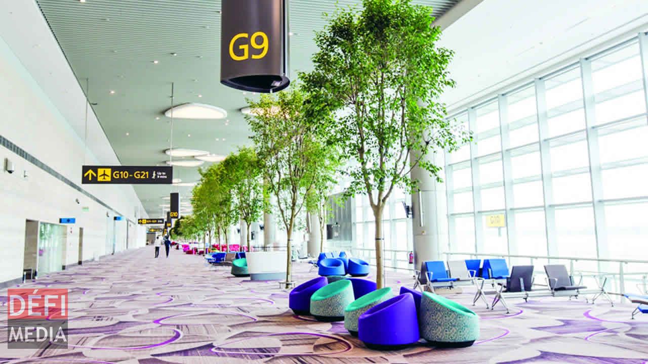 Terminal 4 Breaks New Ground for Changi