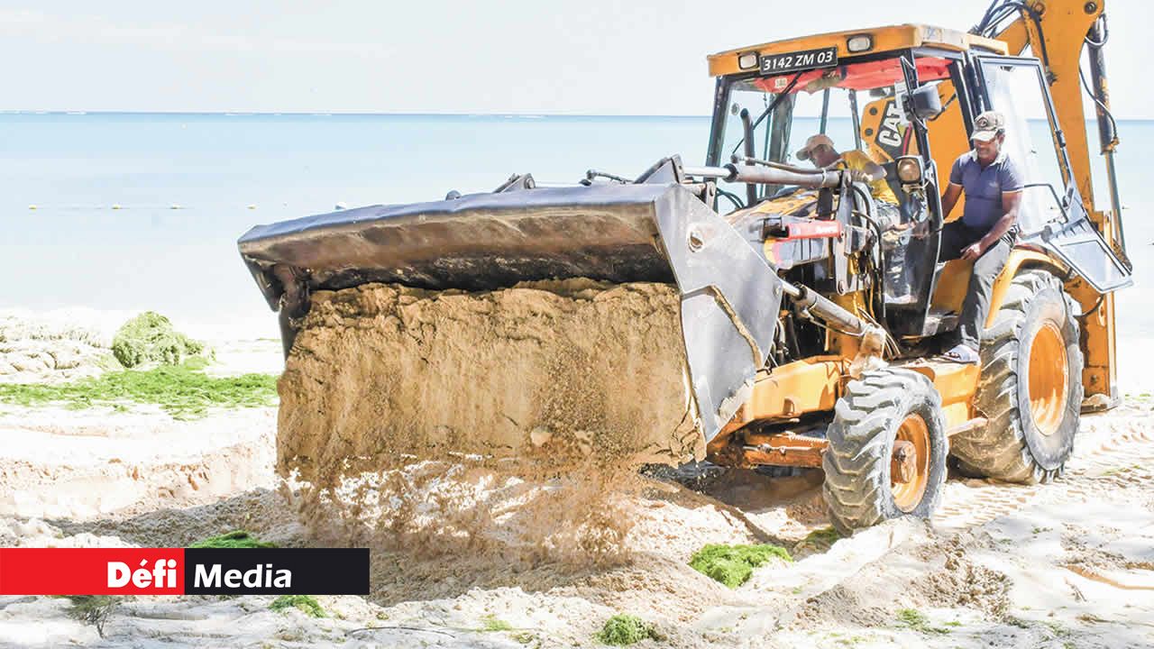 Les fosses contenant les algues sont recouvertes avec du sable sur la plage de Mont-Choisy.