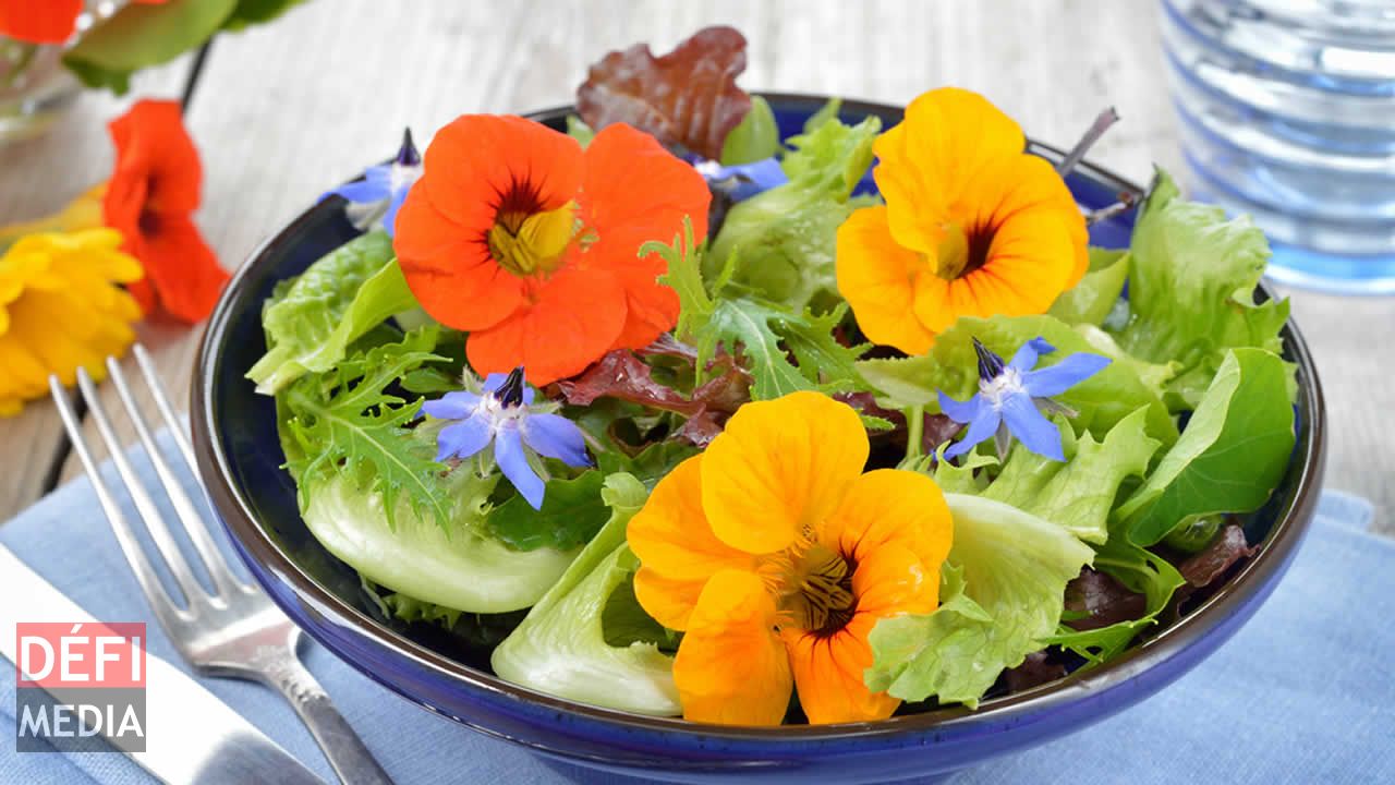 La fleur comestible made in France, un marché de niche où sont preneurs  le Maroc et Israël