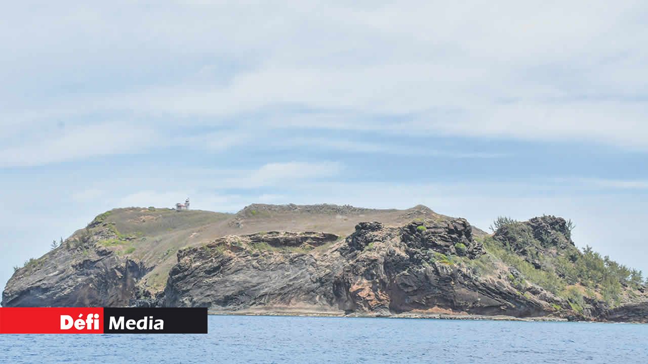 L’île Plate accueille une population de Pailles-en-queue.