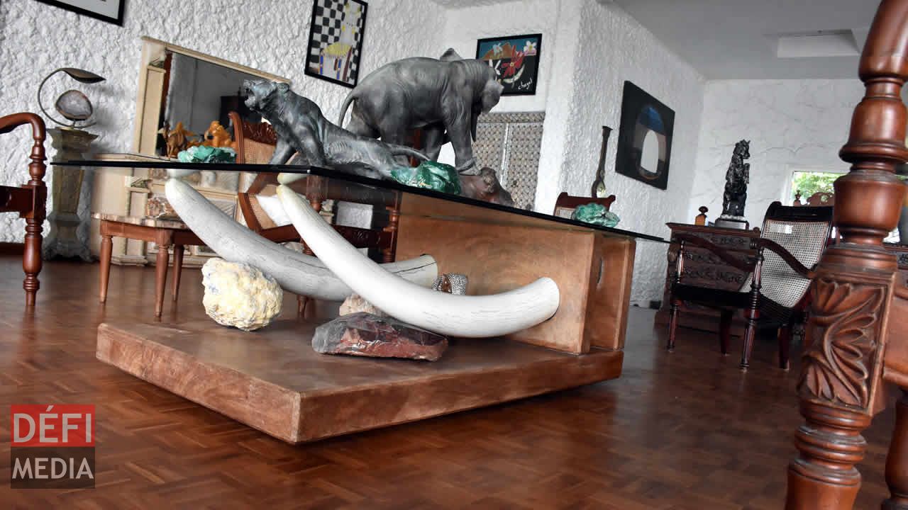 Cette table avec des défenses d’éléphant en ivoire reçue de l’empéreur Bokassa de la République centrafricaine. sir Gaëtan Duval