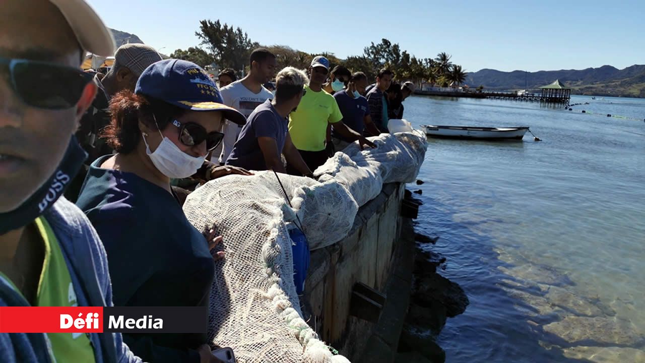 L’ancienne Présidente de la République, Ameenah Gurib-Fakim était au Mahebourg Waterfront, mercredi