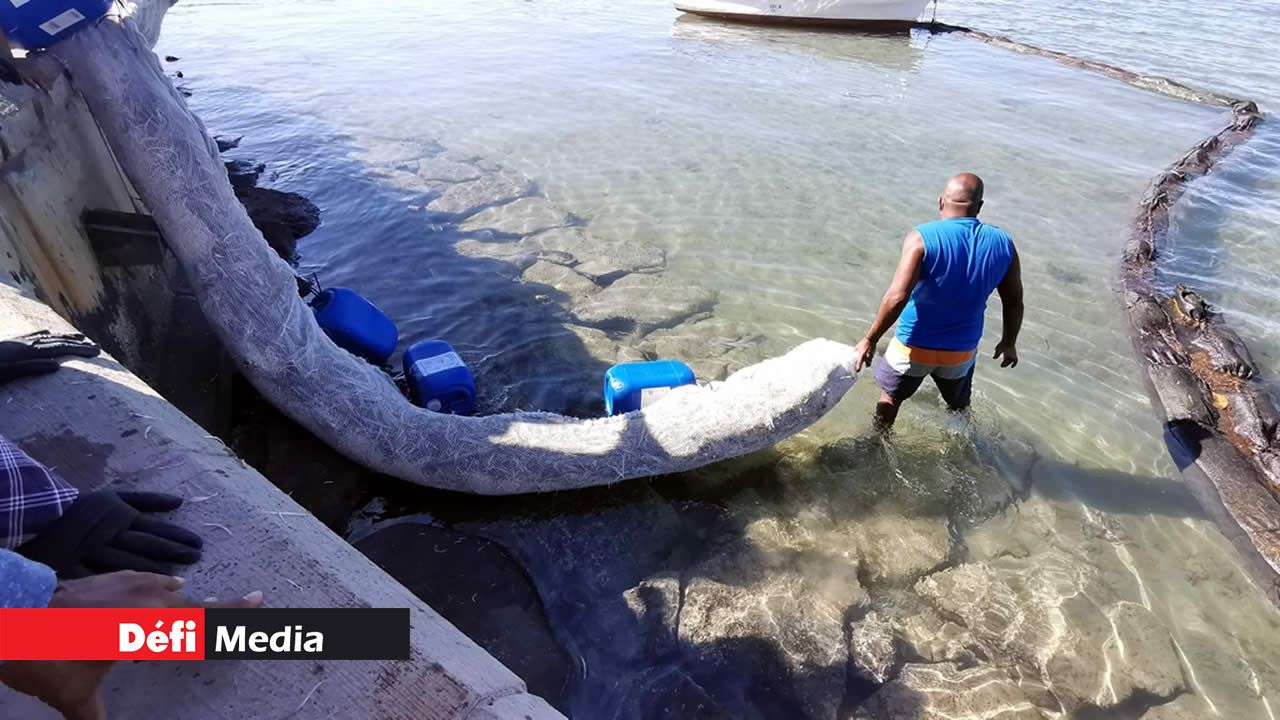 Des boudins spéciaux ont été confectionnés avec des tiges de la canne, des plumes de poulet, rattachés à des gallons en plastique.