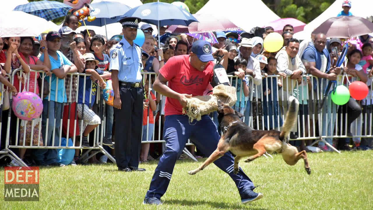 La ‘Dogs Unit’ en action. Kermesse au Gymkhana