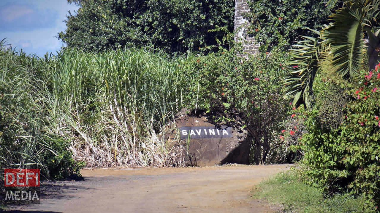 La canne à sucre présente à l’entrée donne déjà un aperçu de ce que renferme le site. Balade