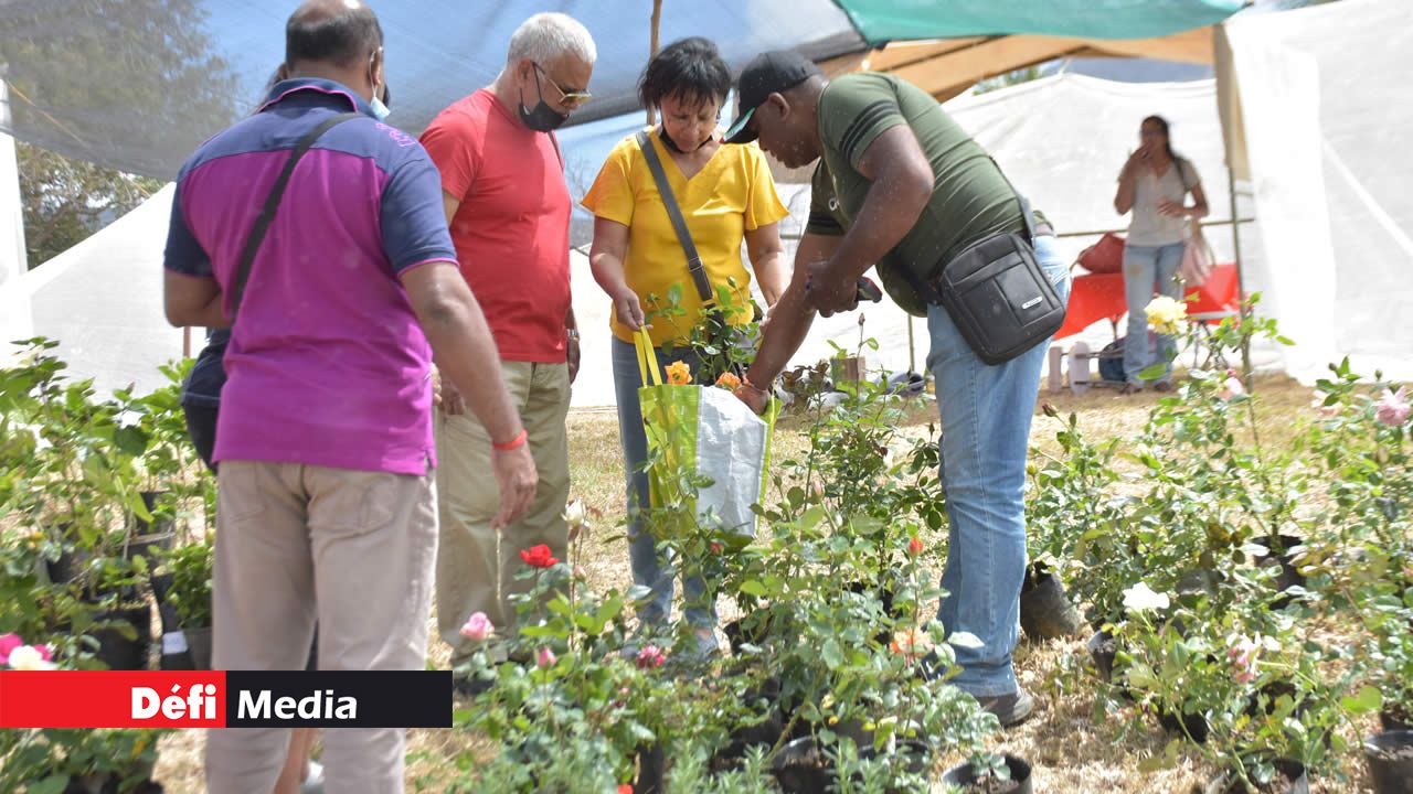 Les amoureux des plantes se sont fait plaisir sur le stand de A.R Landscaping.